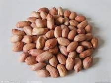 食物營(yíng)養(yǎng)冠軍榜——干果 小小的能量庫(kù)，大大的健康寶